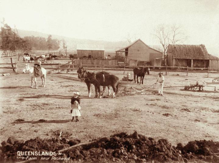Two horse single furrow plough and farmhouse near Rosewood, 1898