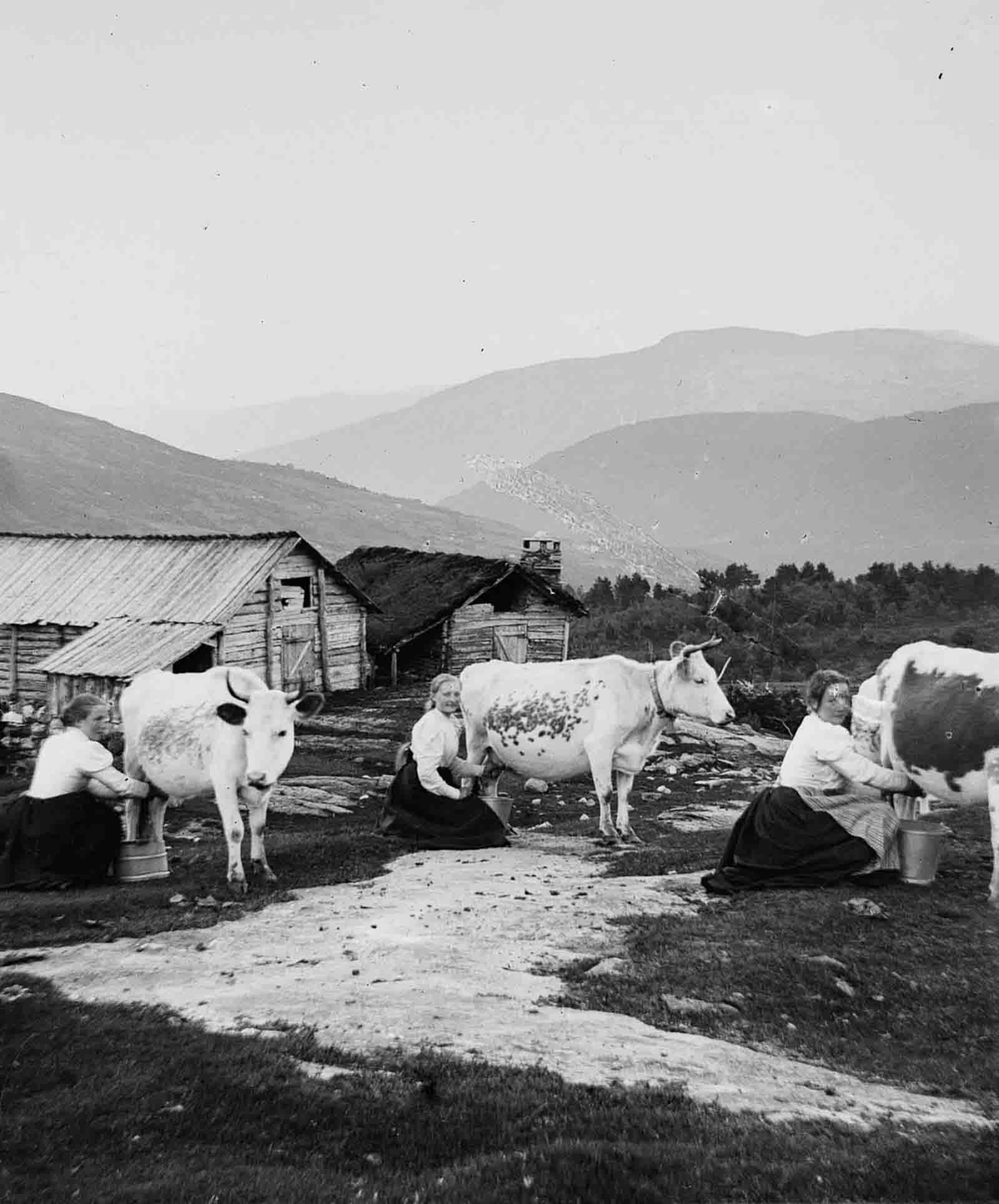 A Reppastølen mountain farm.