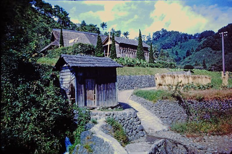 Countryside, Japan, 1950