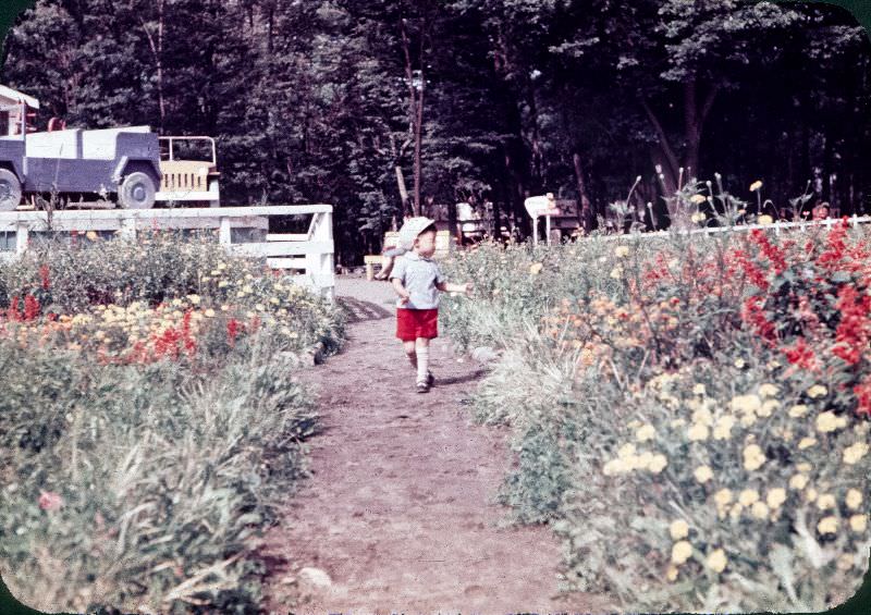 A boy in shorts and a hat walking through a field of flowers