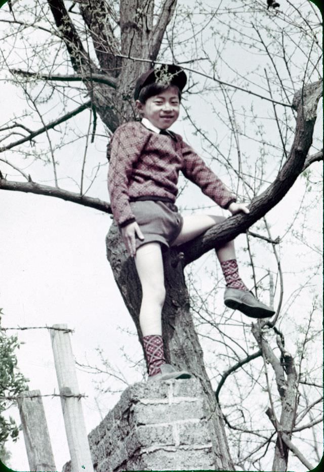 A boy wearing a hat in a tree