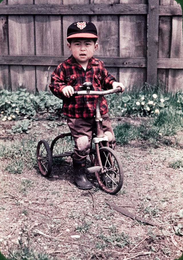 Cute kid on a tricycle in Japan wearing a plaid shirt and a Yomiuri Giants baseball cap