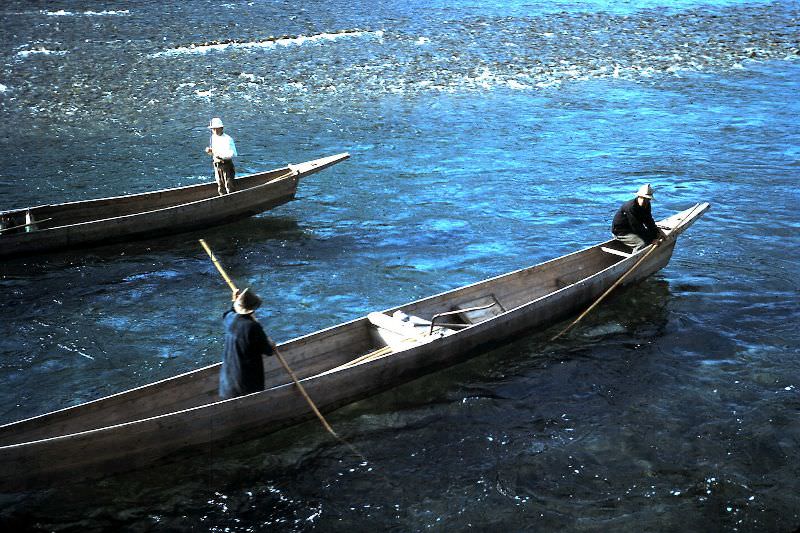 Boats used by cormorant fishers on Nagara River, Gifu
