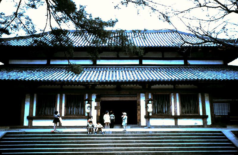 Kofuku-ji Temple near Nara