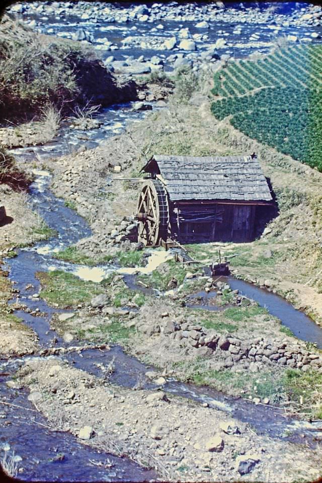 Countryside waterwheel, Japan, 1950