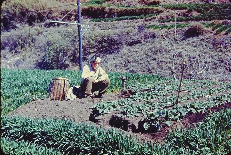 Farm man resting, Japan, 1950