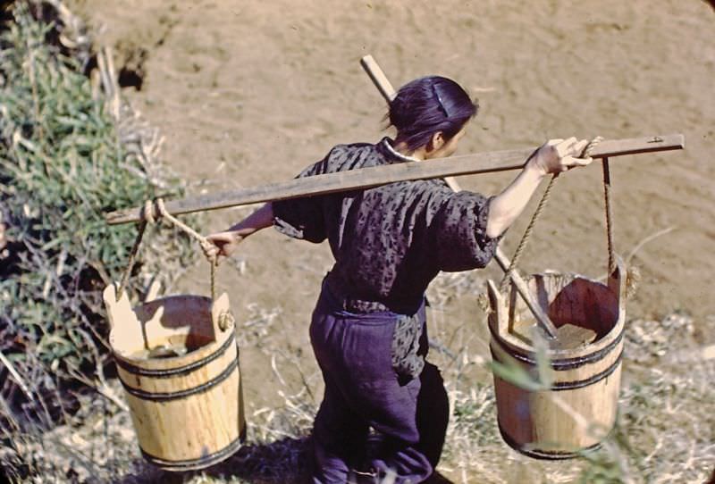 Farm woman carrying fertilizer, Japan, 1950