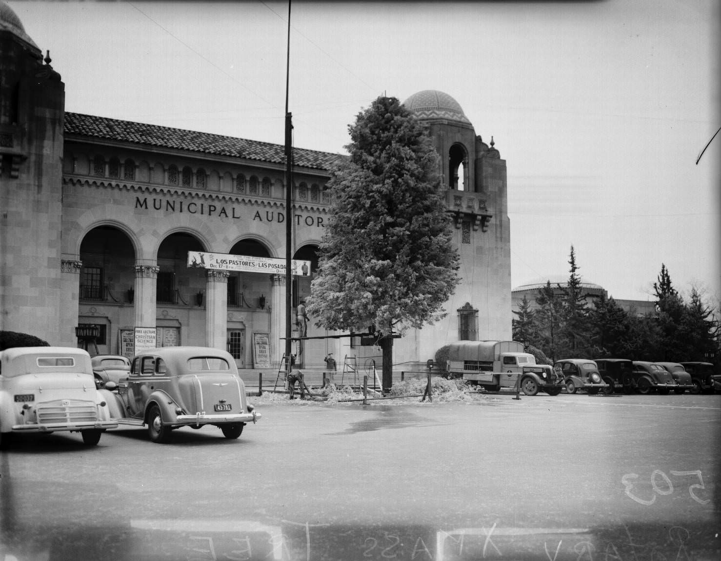 The front of the Municipal Auditorium showing the Rotarian Christmas tree, 1930