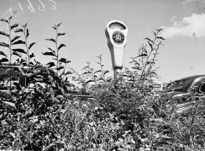 Parking meter in middle of weeds near corner of Jefferson and E. Pecan Streets,1938