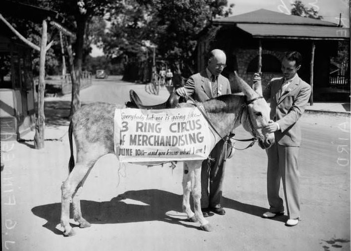 Photograph shows J.G. Finnegan (left) and Kenneth Laird with Brack, an enridge Park donkey), 1939