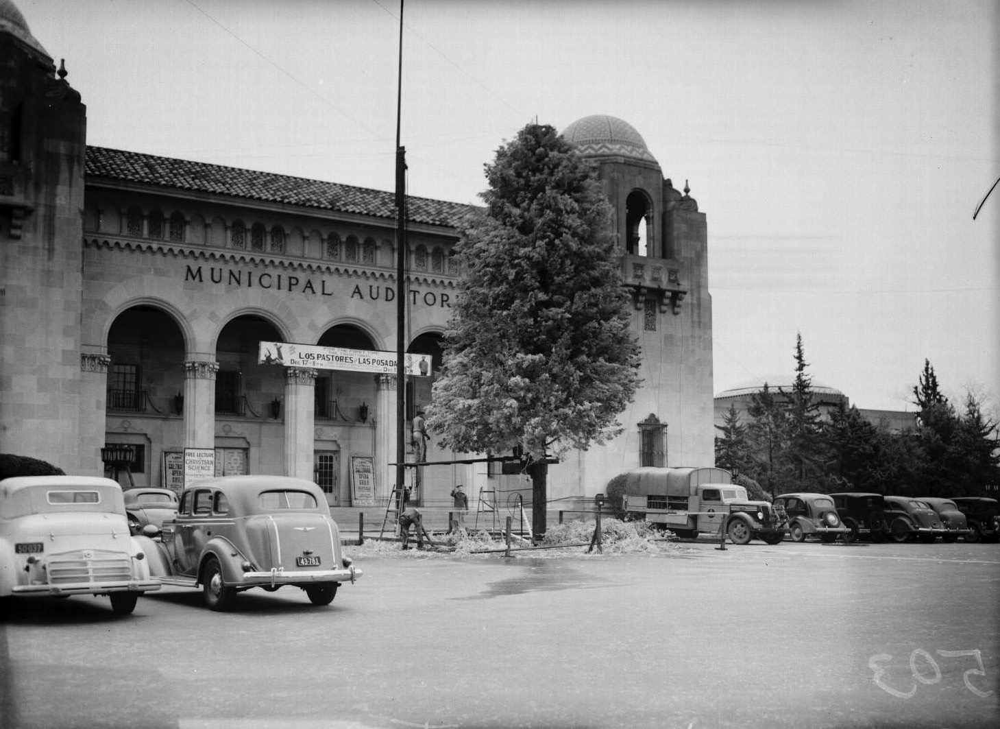 Photograph of the front of the Municipal Auditorium showing the Rotarian Christmas tree, 1930's