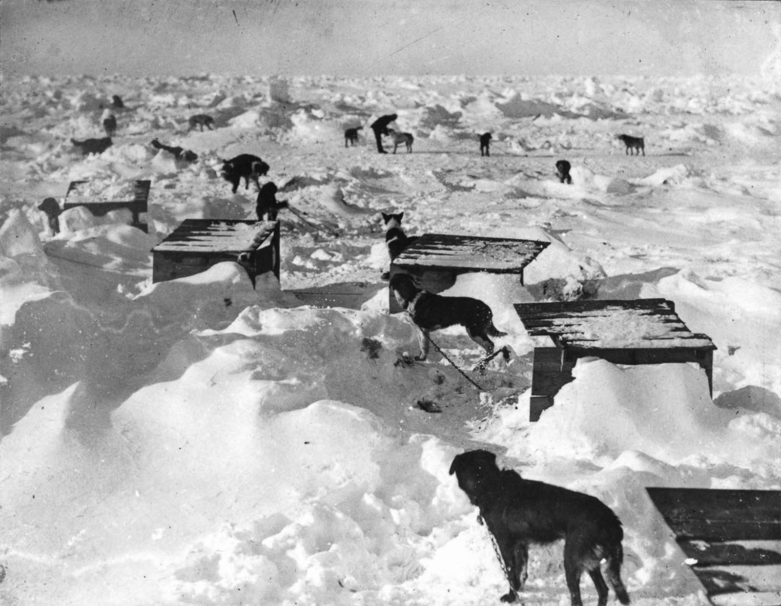 Stunning Historical Photos of Shackleton's Expedition to Antarctica, 1914-1917