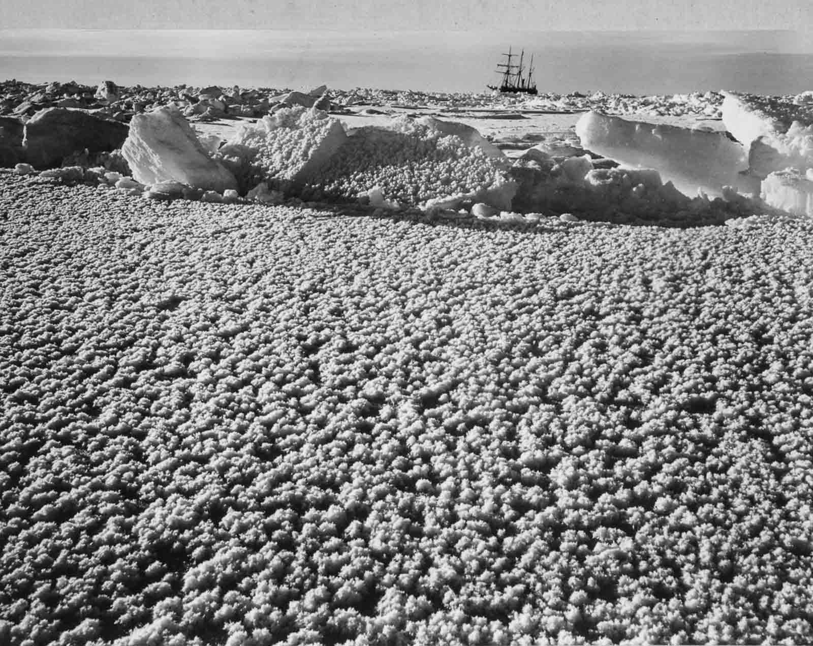 “Ice flowers” form on the pack ice near Endurance.