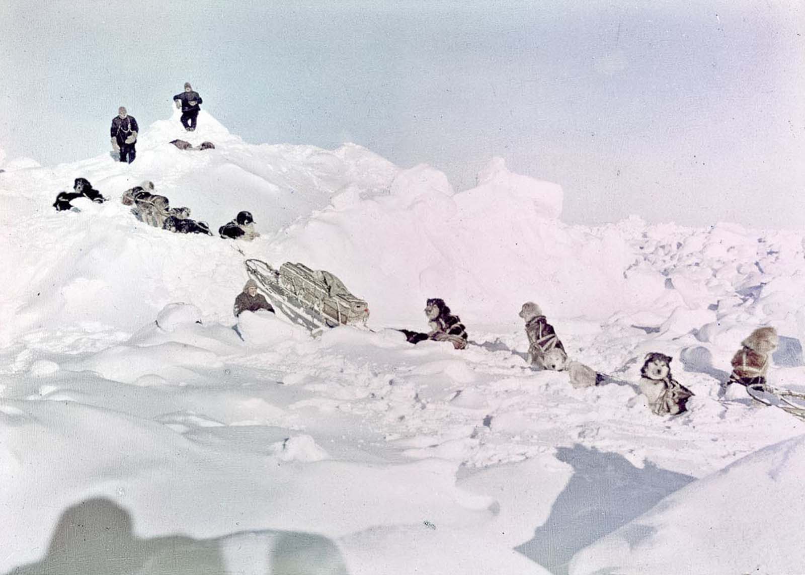 Dog teams search for a way to land across the ice.