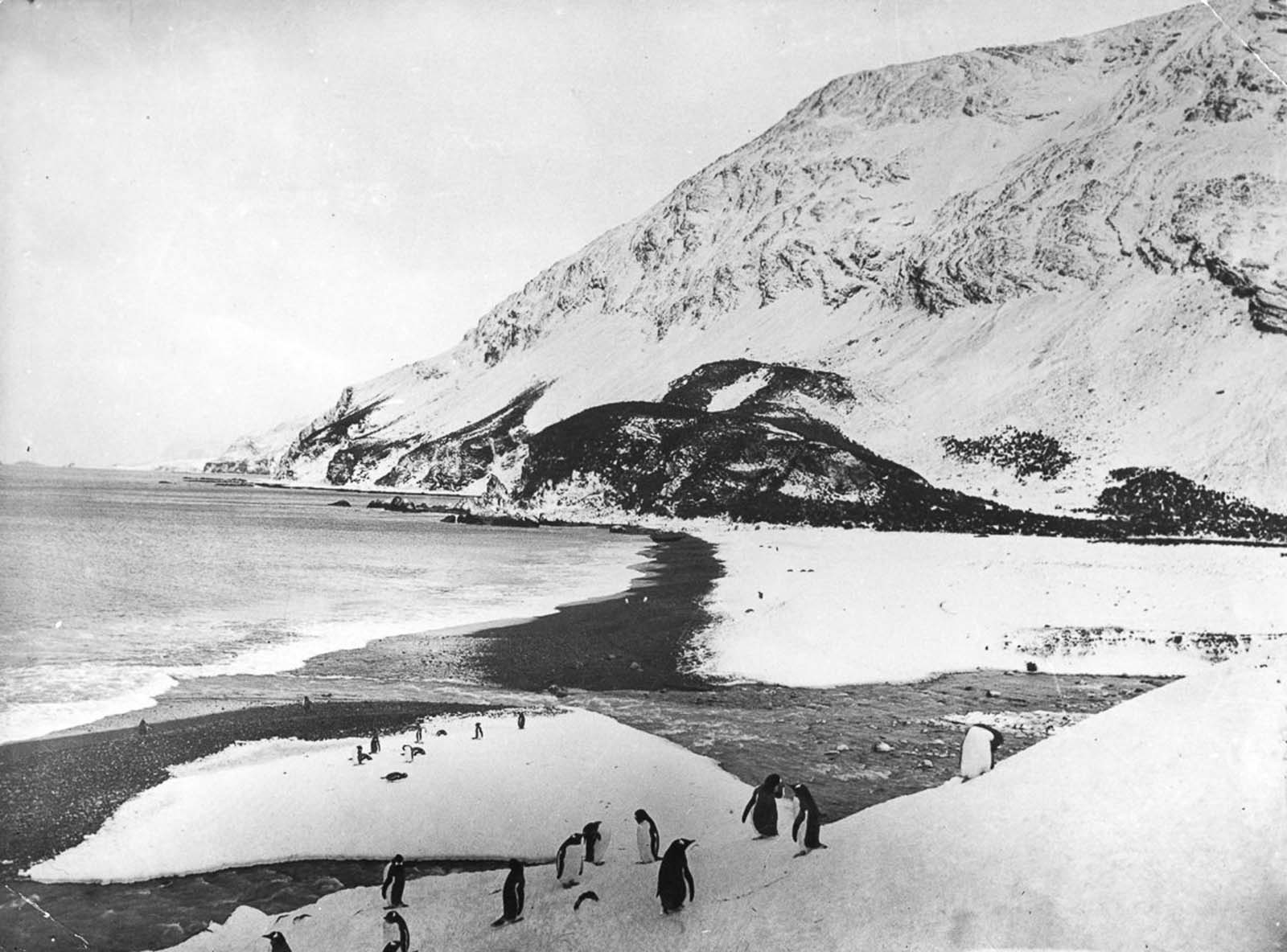 The beach on Elephant Island where the expedition made its camp.