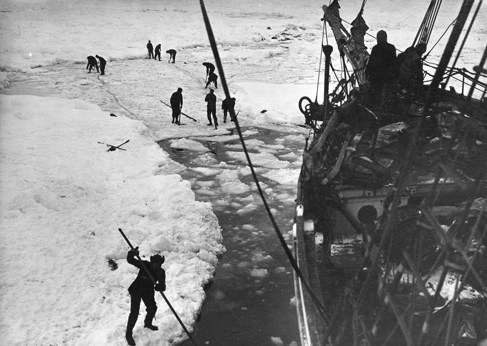 Stunning Historical Photos Of Shackleton s Expedition To Antarctica 