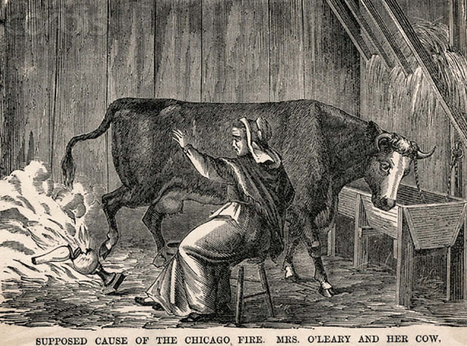 1871 illustration from Harper’s Magazine depicting Mrs. O’Leary milking the cow.