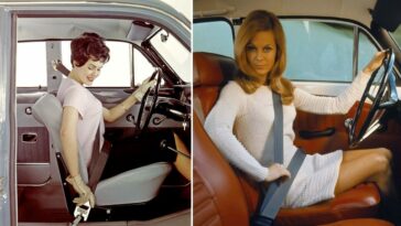 V-Shaped Three-Point Safety Belt