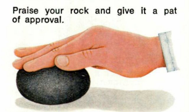 Pet Rock