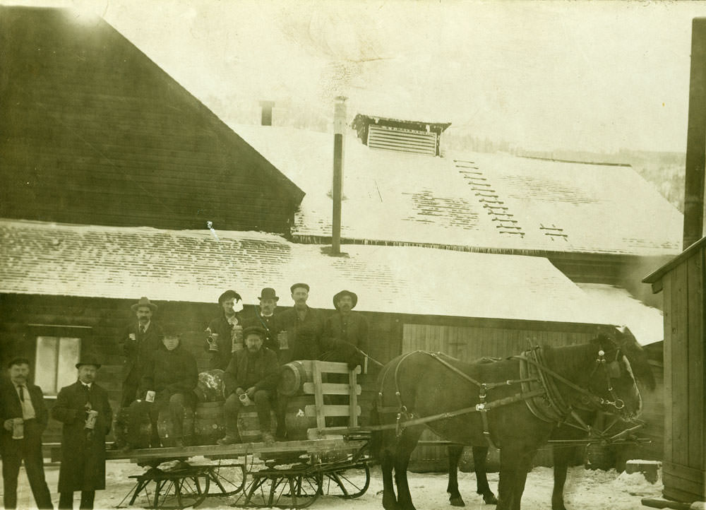 Territorial sleigh in Olympia, 1885