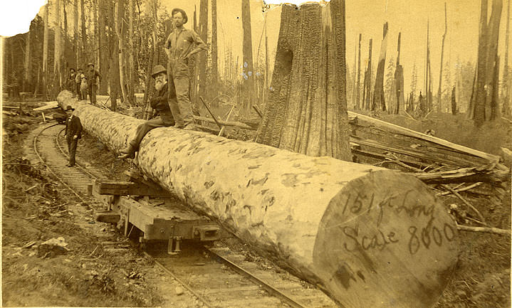 Logging railroad, near Shelton, 1886