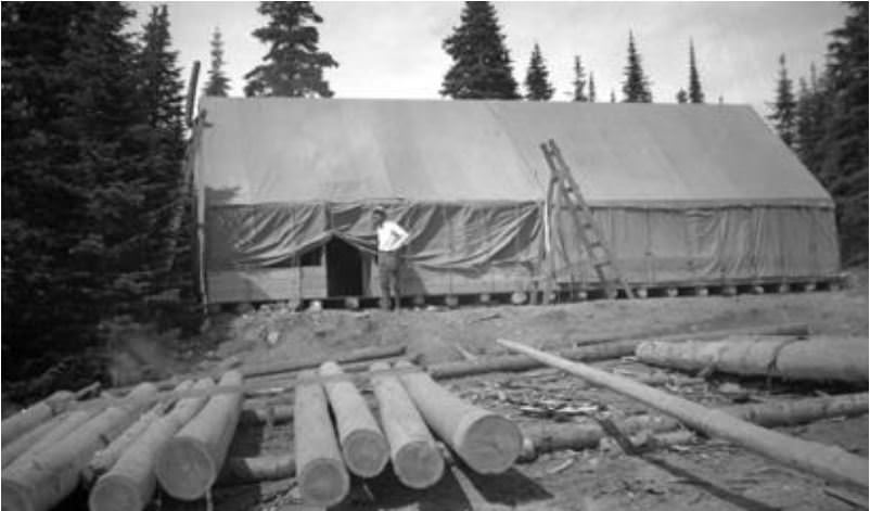 Peeling the tamarack logs utilized in community cabin, 1930s