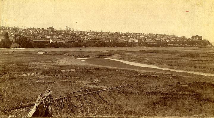 Tacoma, Washington Territory view from Tideflats, 1884