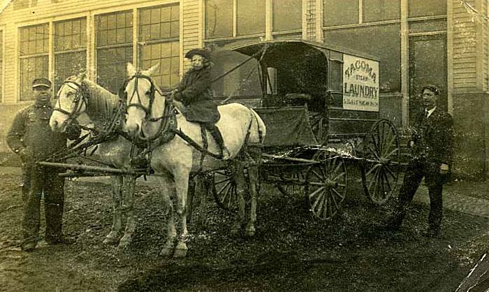 Tacoma Steam Laundry delivery wagon, 1910