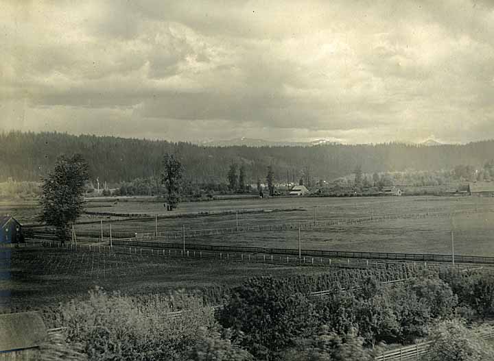 Farm near Tacoma, 1901