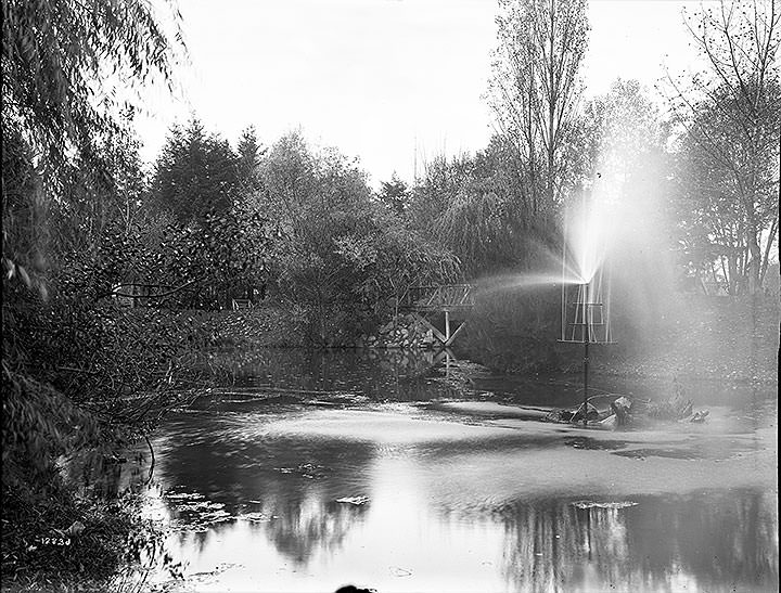 Wright Park, Tacoma, 1905