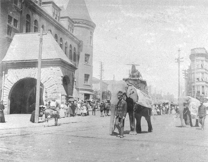 Circus parade on C Street Tacoma, 1897