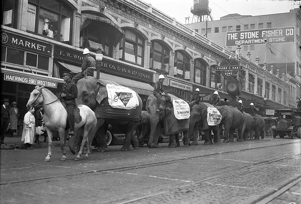 Elephants on Broadway, Tacoma, 1934