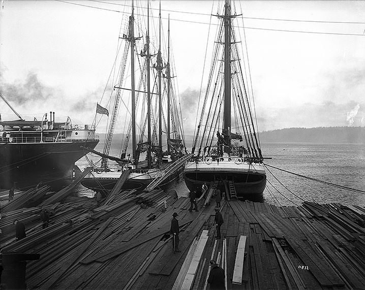 Loading Timber at Tacoma Mill, 1909