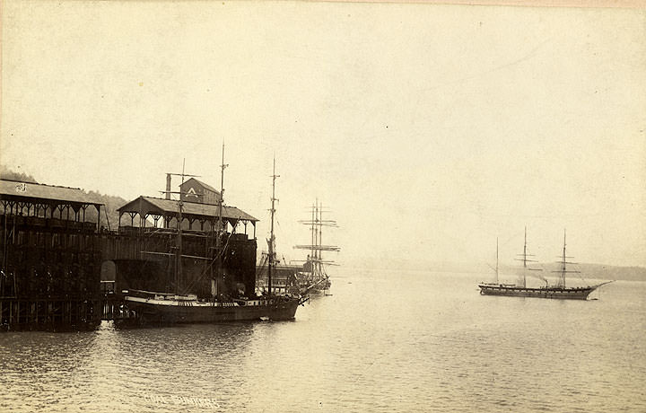 Coal Bunkers, Tacoma, 1890