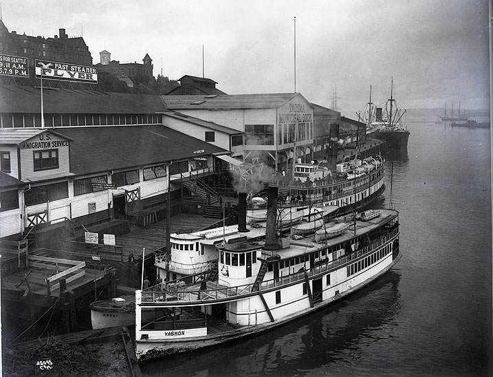 Mosquito Fleet Vessels, Tacoma Municipal Dock, 1912