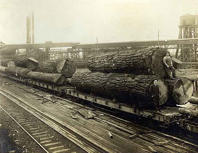 Log Train, Tacoma, 1912
