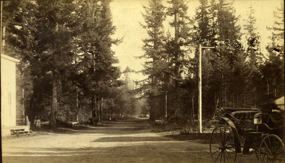 Union Avenue, Tacoma, 1887