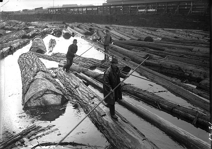 Men on Logs in Pond, Tacoma, 1918