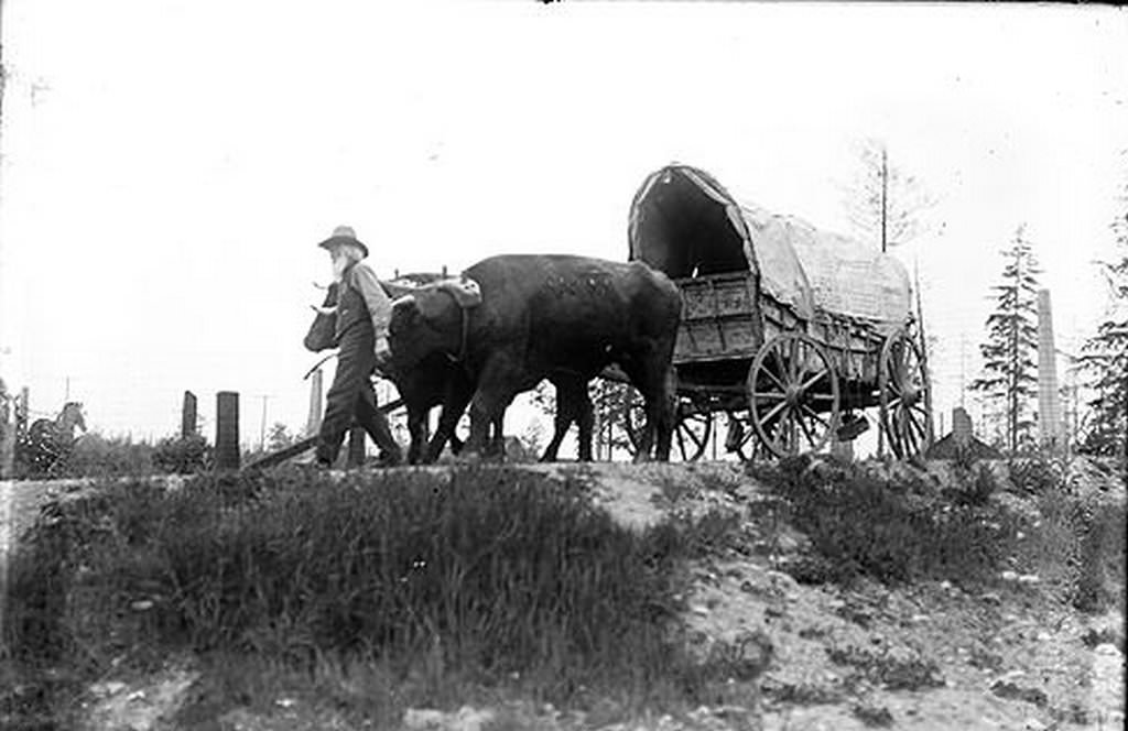 Ezra Meeker and Wagon, Tacoma, 1910
