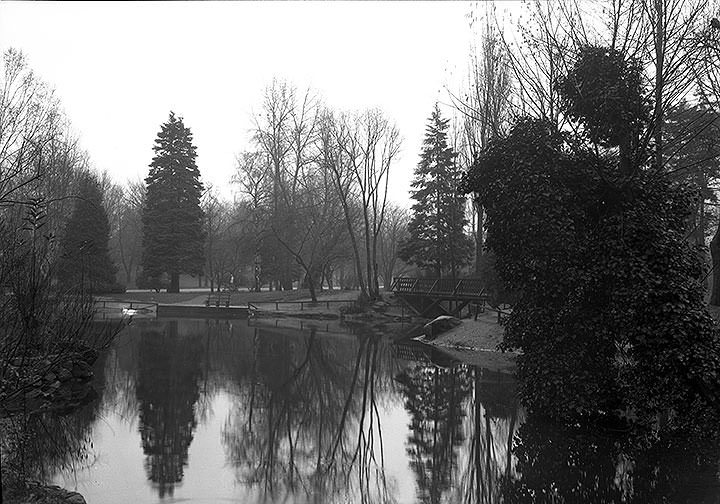 Wright's Park Wright Park, Tacoma, 1927