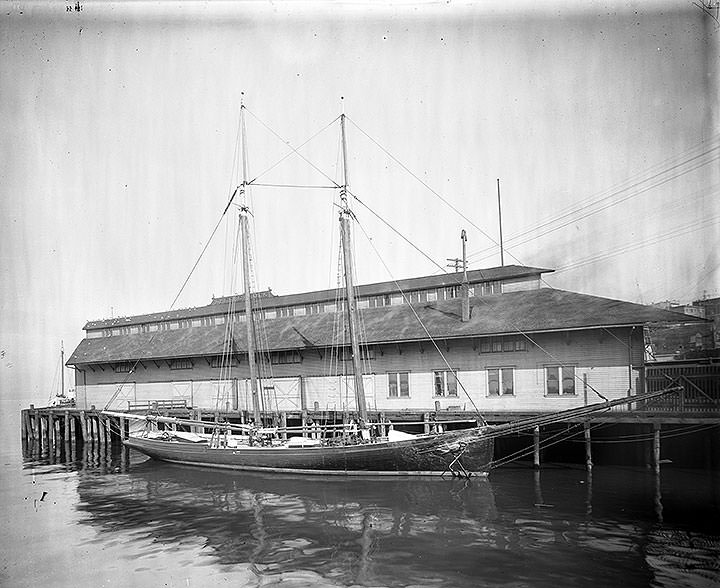 Schooner, Thomas F. Bayard, at Tacoma, 1905
