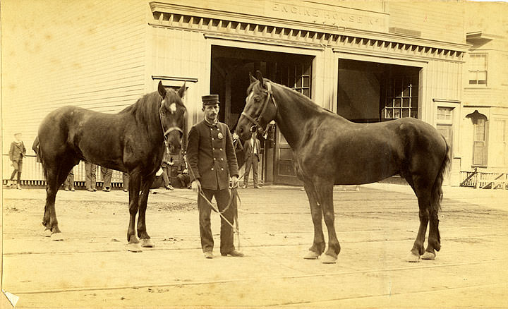 Andy Lynch, driver Hose Cart No. 1 with Jake & John, Tacoma Fire Department, 1890