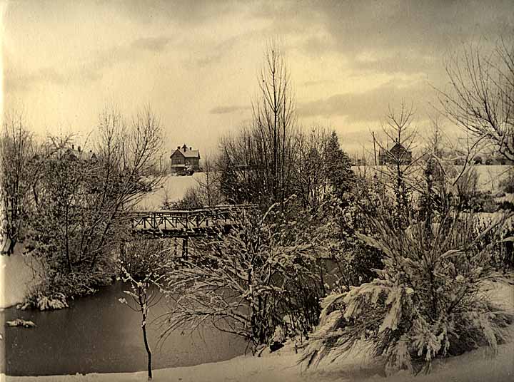 Wright Park snow scene, Tacoma, 1905