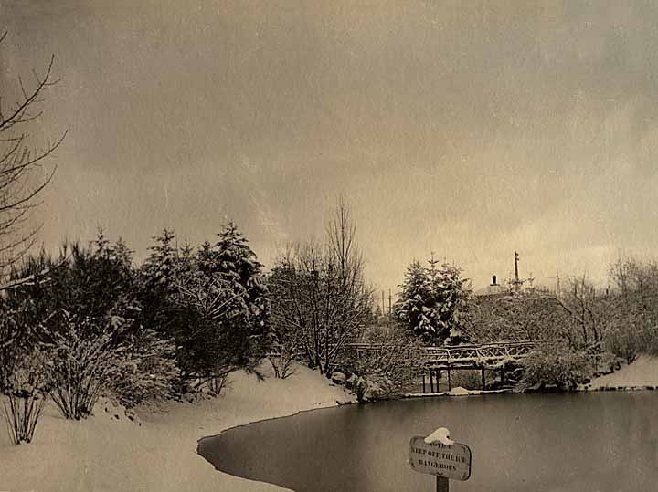 Wright Park snow scene, Tacoma, 1905