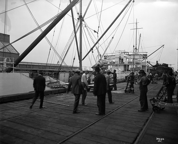 Longshoremen Unloading the S.S. Maricopa at a Tacoma Dock, 1917