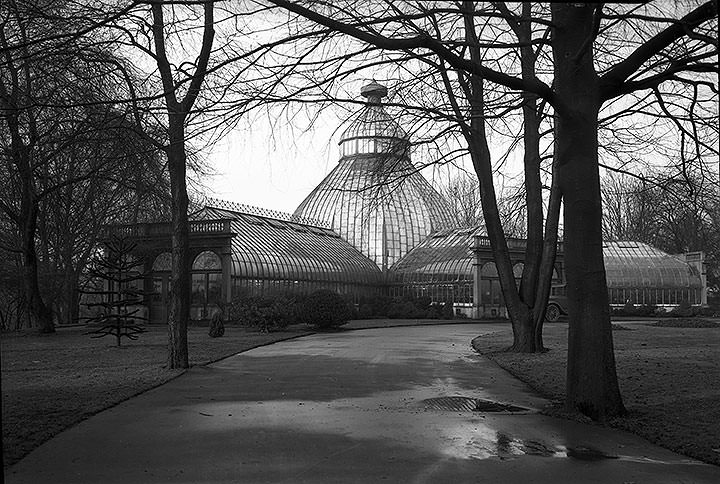 Wright Park hothouse [Seymour Botanical Conservatory, Tacoma, 1927