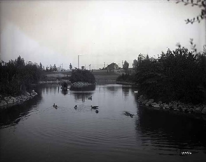 At Point Defiance Park, Tacoma, Scenic, September 15, 1910