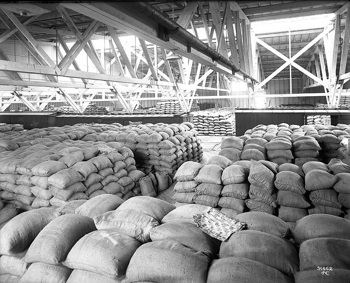 3,000 Tons of Rice in Chicago, Milwaukee & St. Paul Railway Dock Warehouse, Tacoma, 1917
