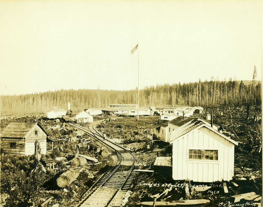 Camp No.3 St Paul and Tacoma Lbr Co., 1908