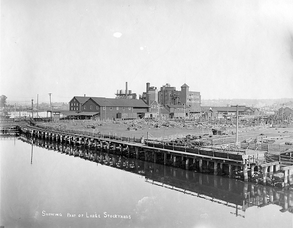 Showing part of large stockyards Carstens Packing Co., Tacoma, 1909